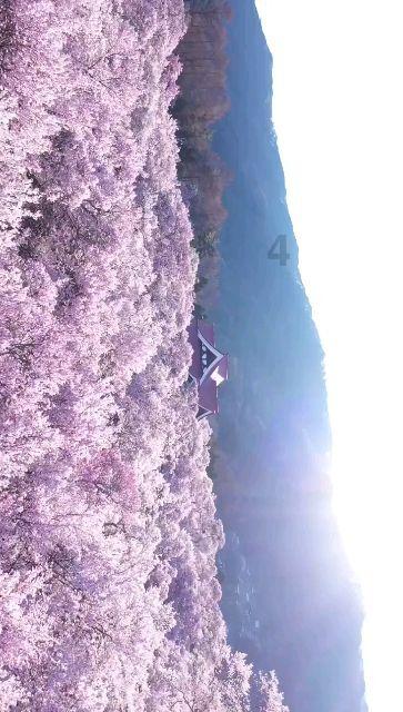 次元喵