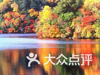 研究指出:女性爱翻白眼其实是脆弱的状态,那狗呢?